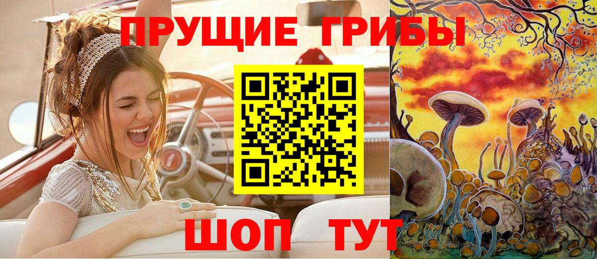 Галлюциногенные грибы Psilocybine cubensis  Вход с VPN  Людиново 